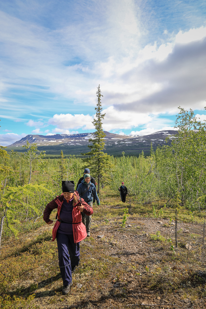 Идти по нему хорошо