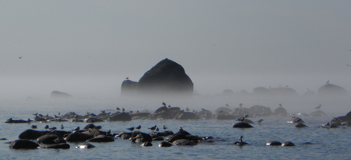 Мыс Флотский