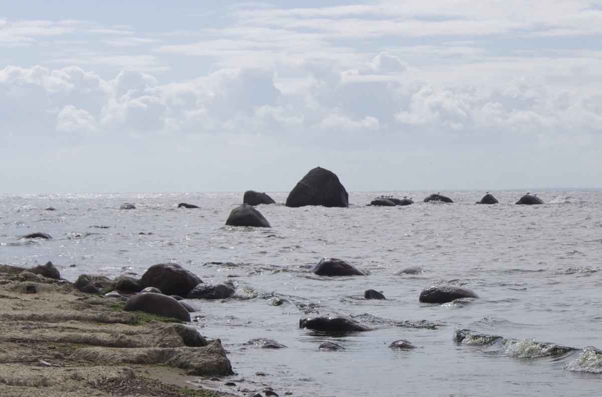 На мысу Флотский, Финский заоив