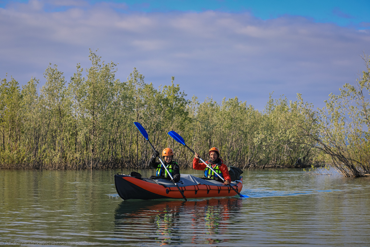 Идём среди кустов в устье Микчангды