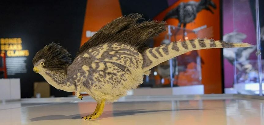 Пернатый динозавр