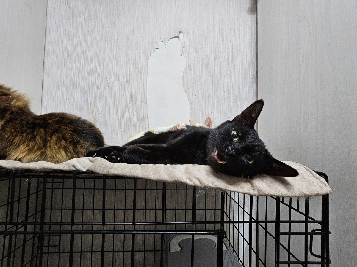 Фото автора.Фарик.