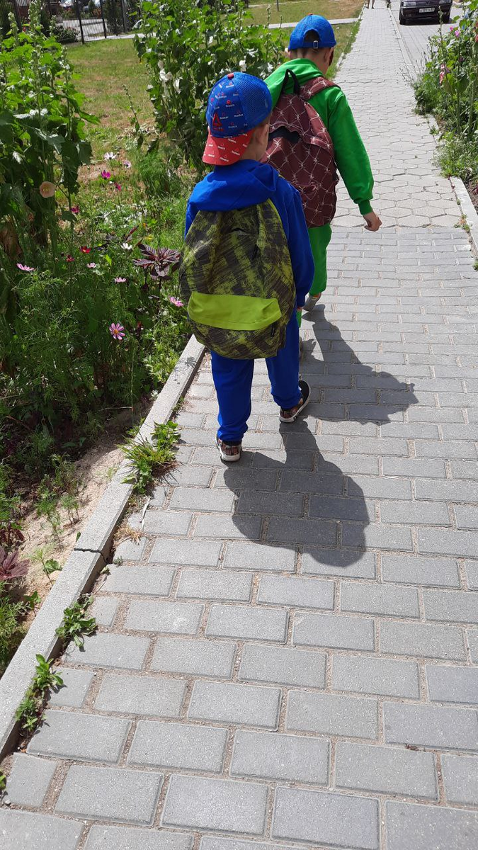 Поездки в область на занятия — целый квест, особенно в туристический сезон. 