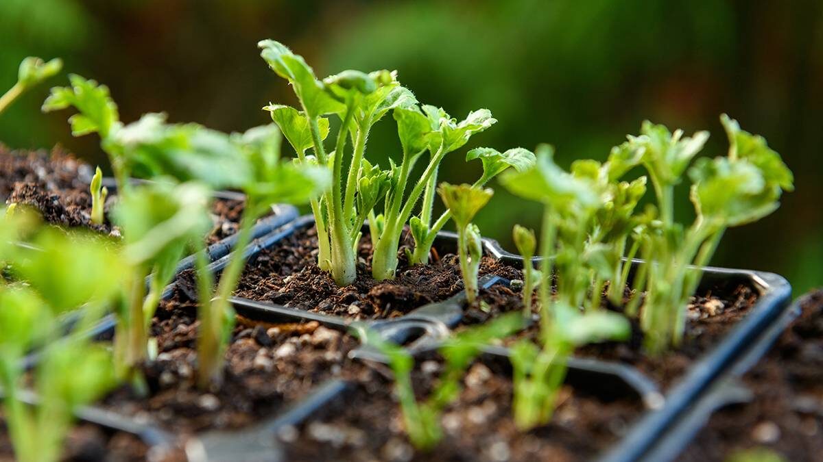    Фото: Shutterstock