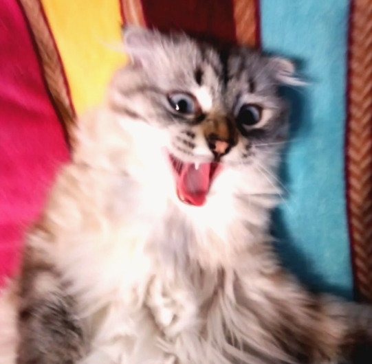 Фото из личного архива автора.