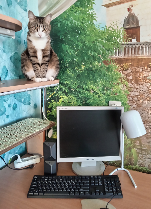 Фото из личного архива автора.