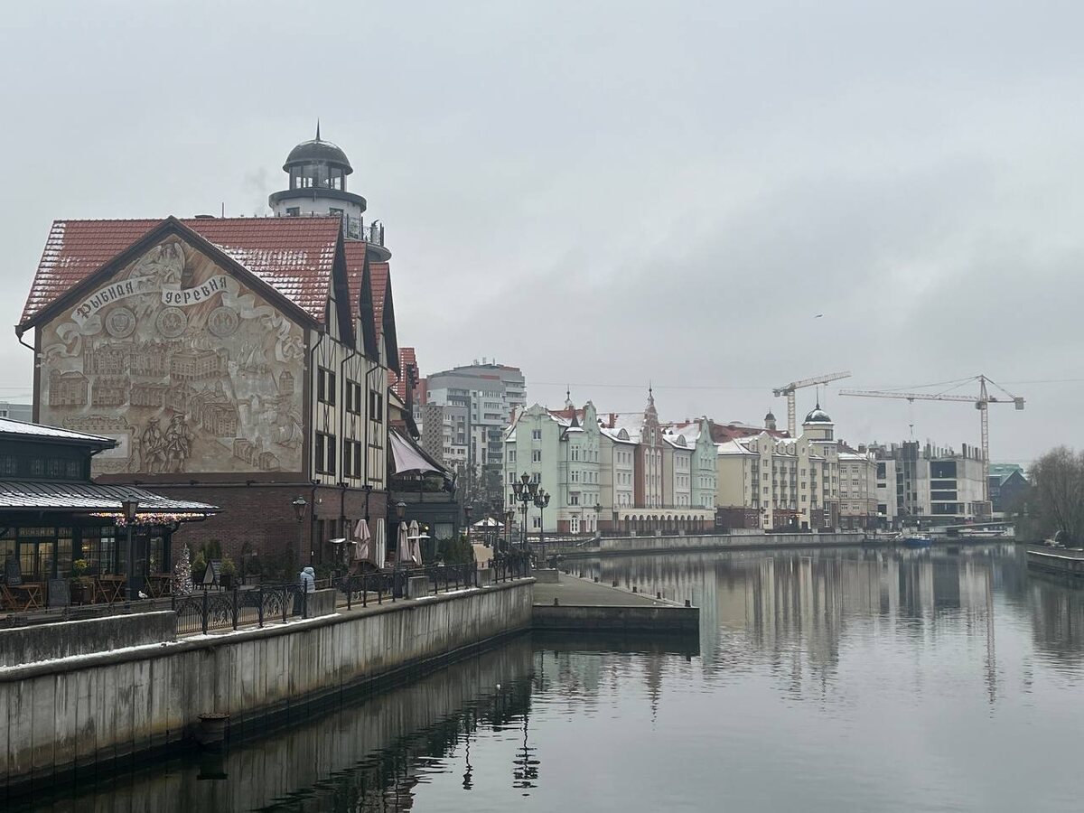 Про зиму и мороз в Калининградской области сейчас можно забыть.  Фото: Фото: ФедералПресс / Анна Крючкова