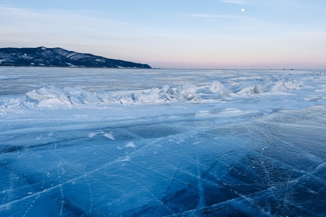    Фото:  АиФ/ Дарья Галеева