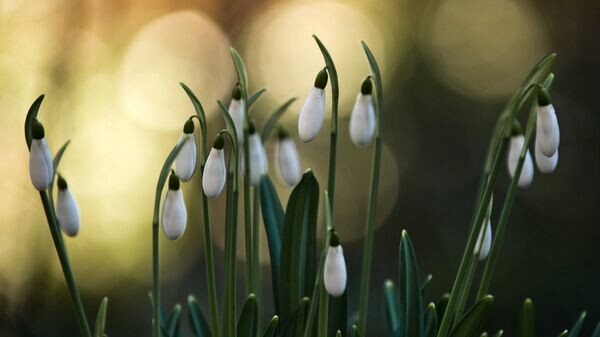    © РИА Новости . Сергей Мальгавко