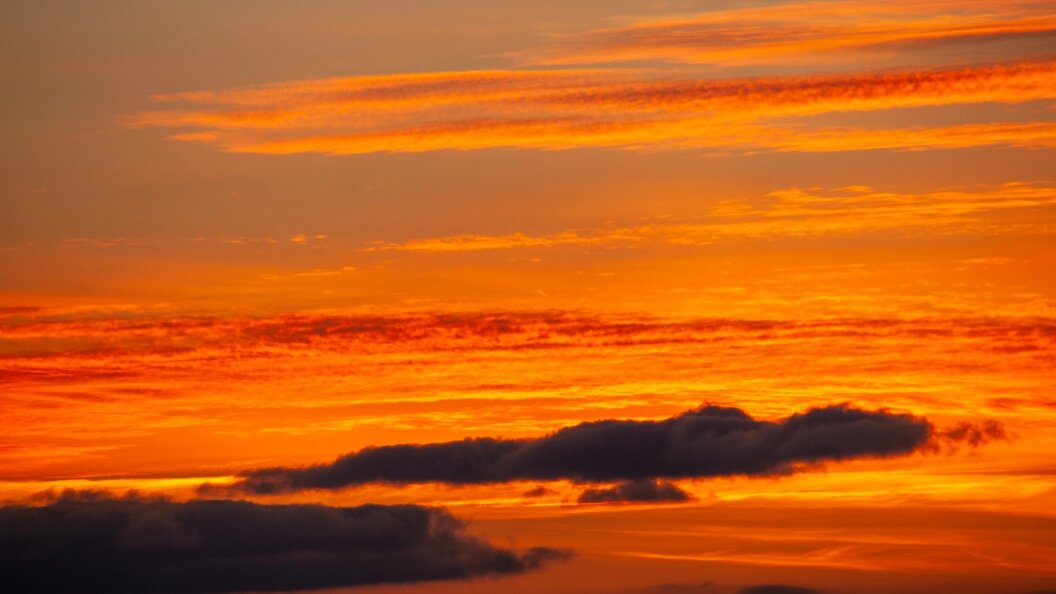    фото: Svetlana Vozmilova//Globallookpress