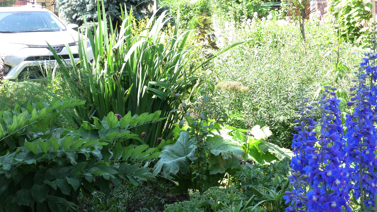 Фото автора канала Дом с кипарисами