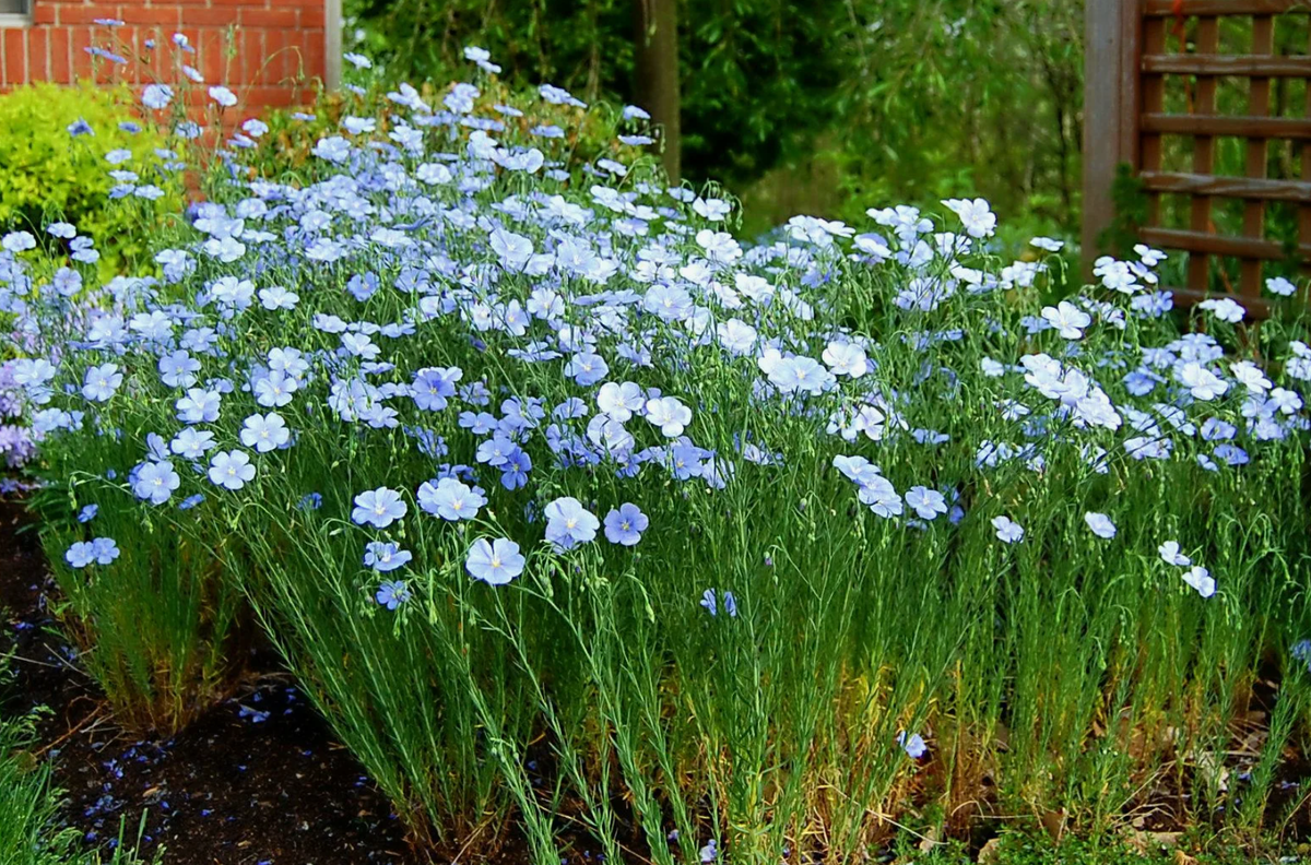 Источник фото: fotoload.ru