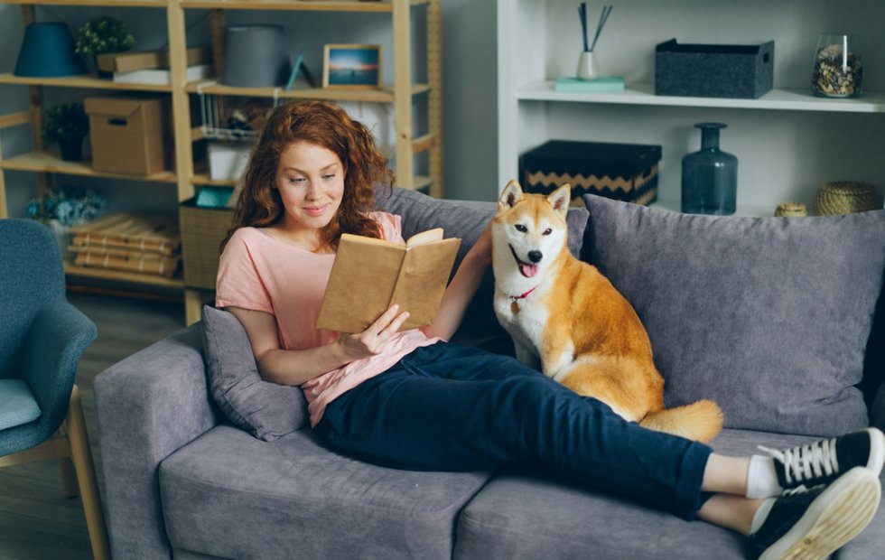 Дизайн: Виталий Гариев, Unsplash