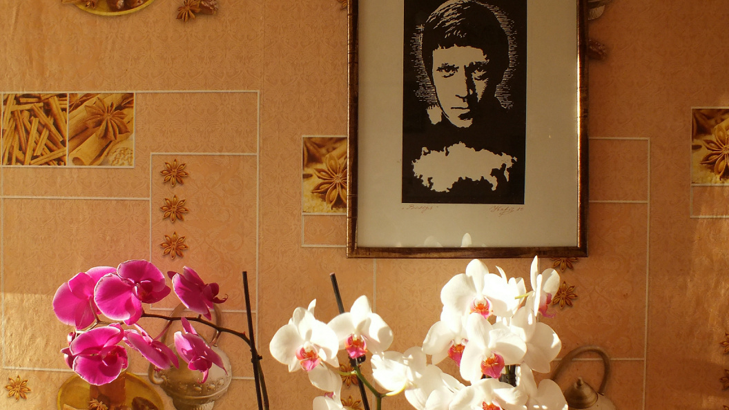    фото: Victor Lisitsyn, Виктор Лисицын/Global Look Press