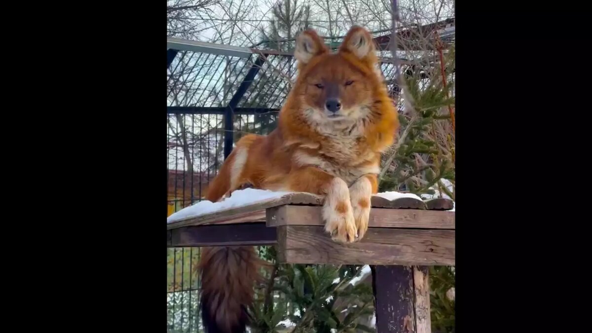     Источник: t.me/roev_ruchey