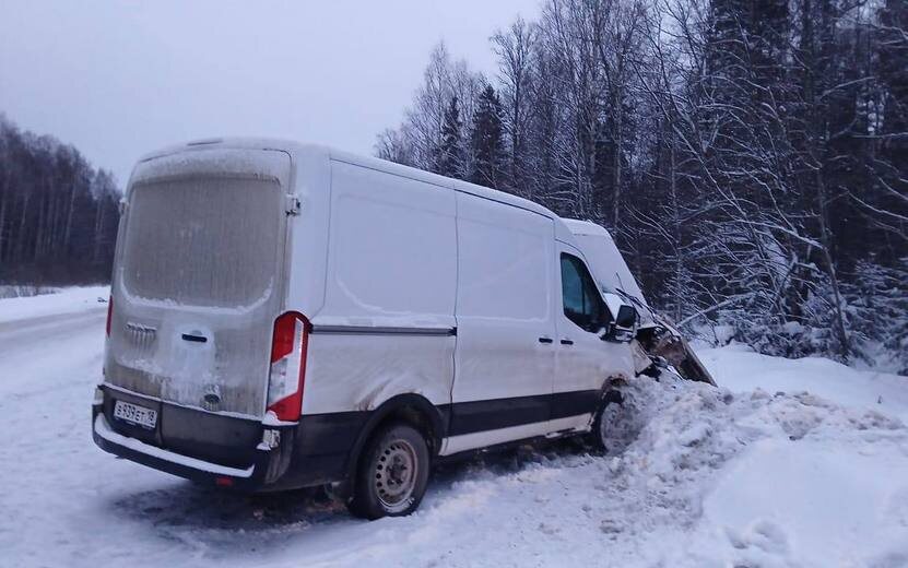    Бастрыкин поручил возбудить дело по факту ДТП с 7 пострадавшими в Удмуртии