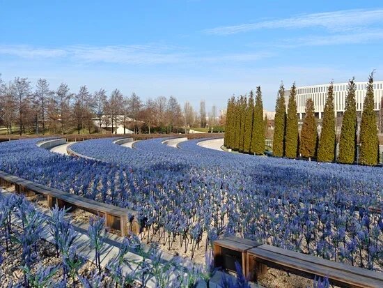    Фото: Юрий Серебренников/BFM Кубань