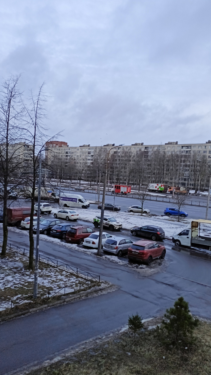 Фото автора. 10ч. СПб.