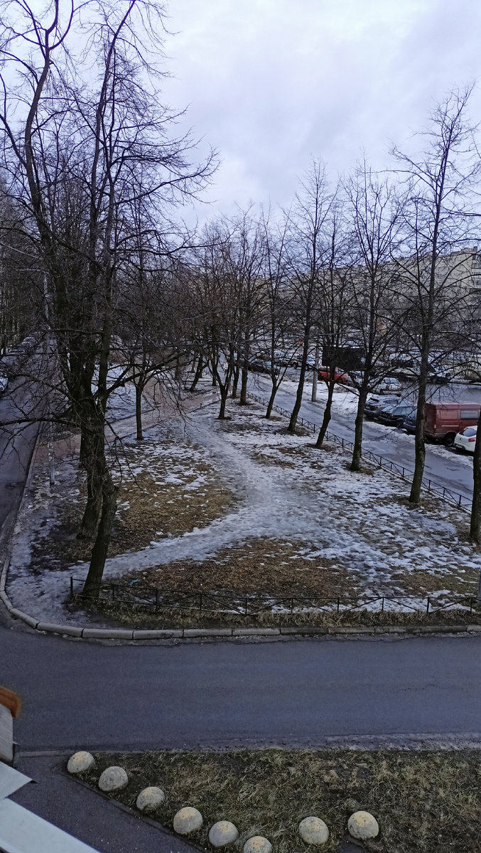 Фото автора.