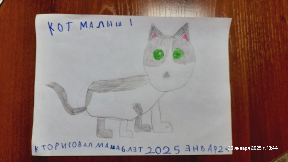 Кот Малыш