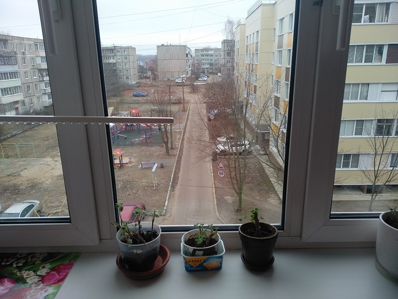 Подоконник в зале