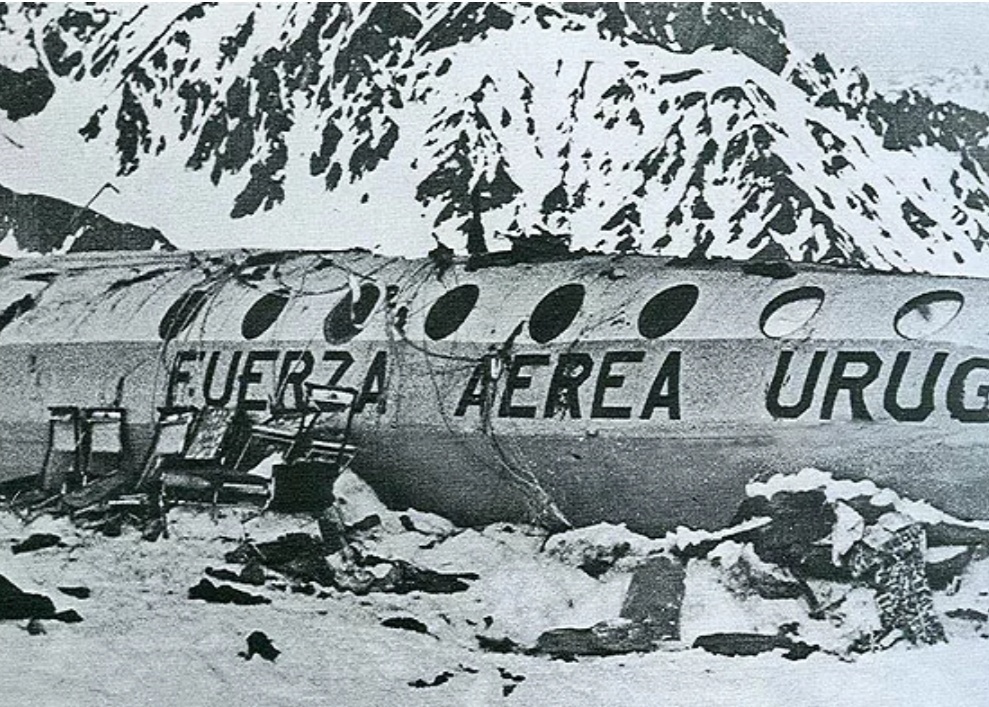 Фюзеляж лайнера, в котором выжившие устроили лагерь. Фото взято из открытых источников