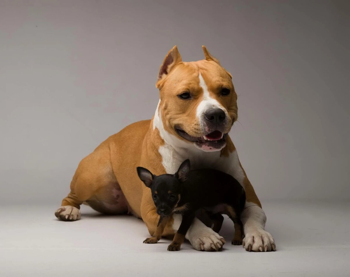 Было - стало))