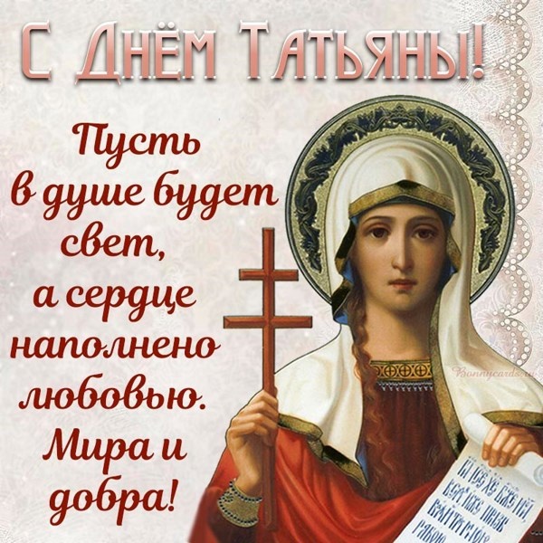 Фото из свободных источников 