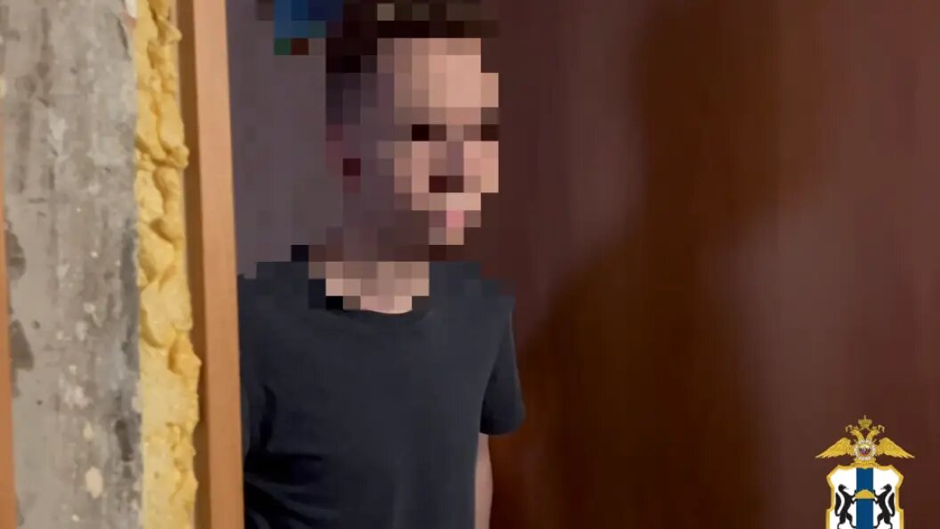    фото: скриншот видео t.me/mvd_54