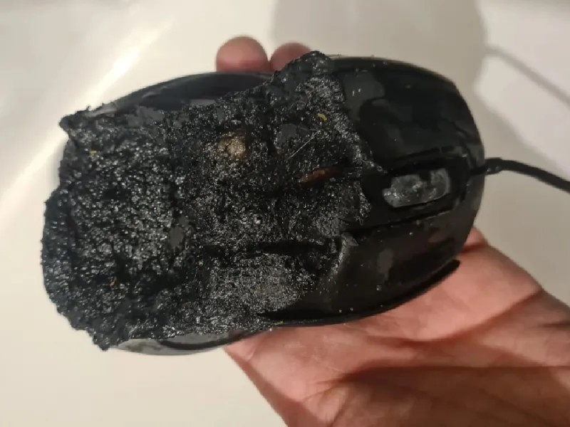    Игровая мышь чуть не привела к пожару в доме