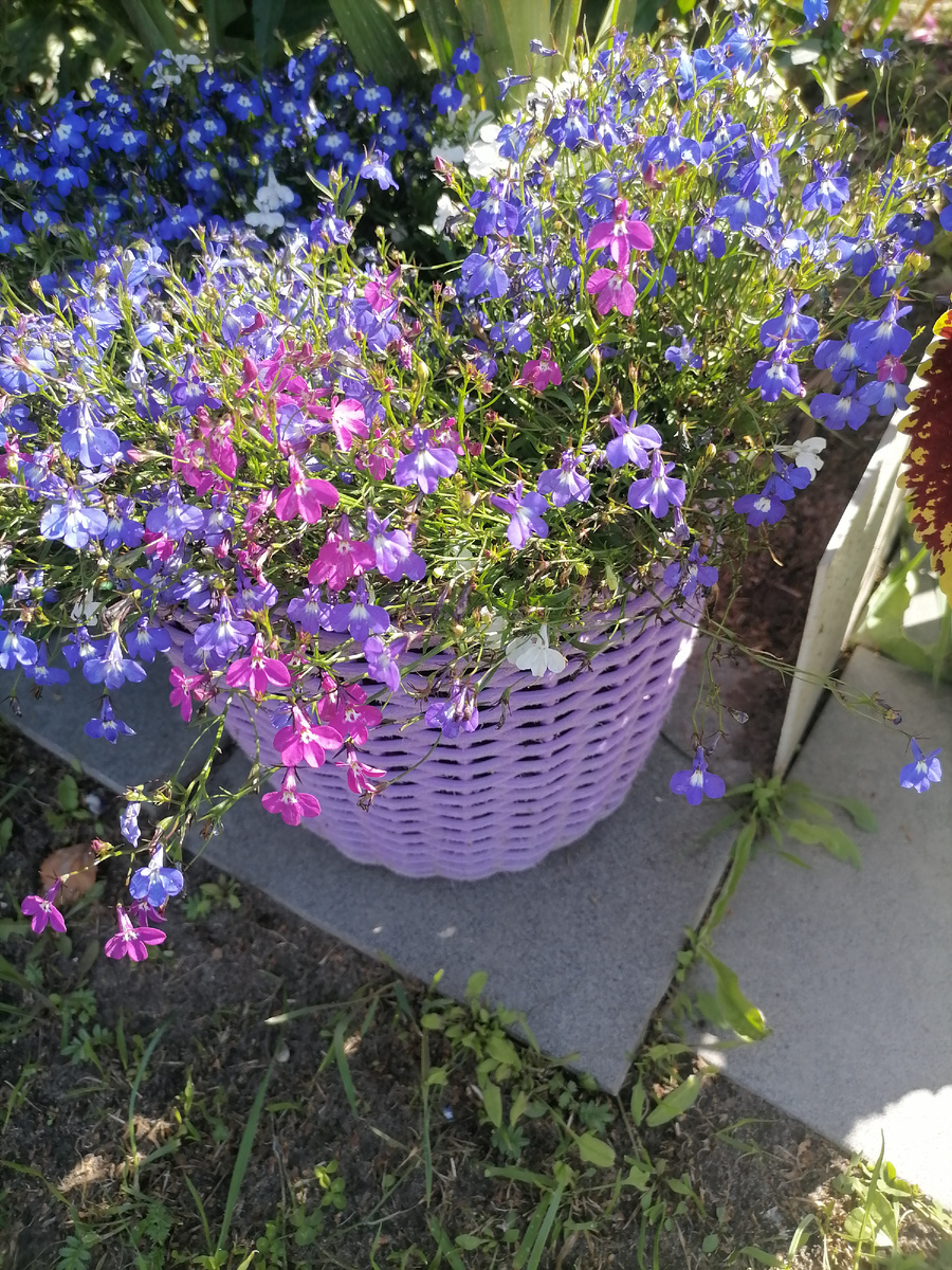 Это лишь один момент.