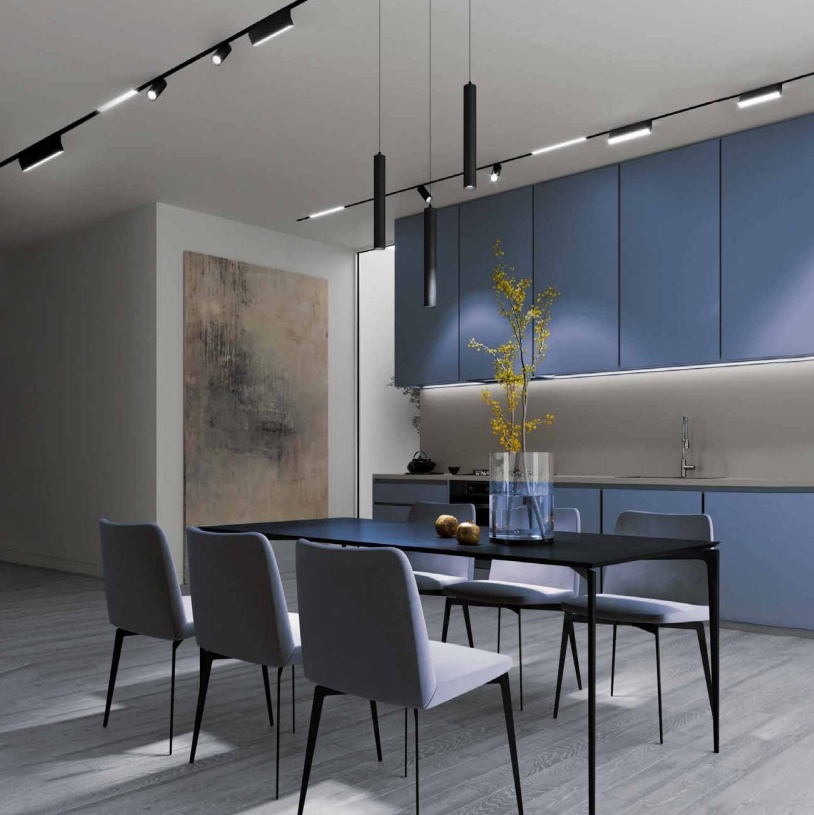 Кухня с залом с трековыми магнитными светильниками на шинопроводе