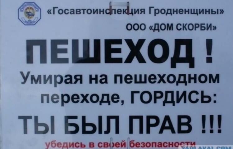 Отличная картинка!