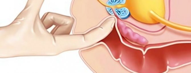 Фото: Яндекс.Картинки 