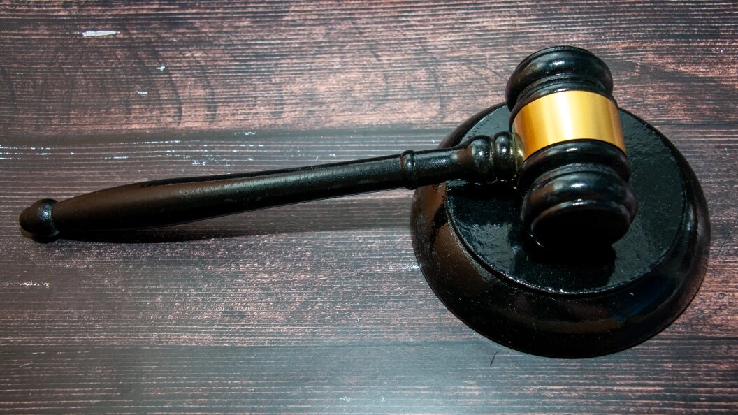    Фото: Svetlana Vozmilova /Globallookpress