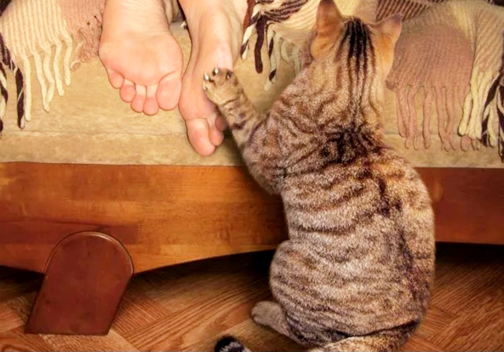 Ути,ути,ути... 