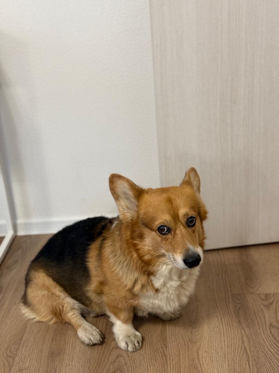 Мама ругает. Плохо себя вел😂🩷