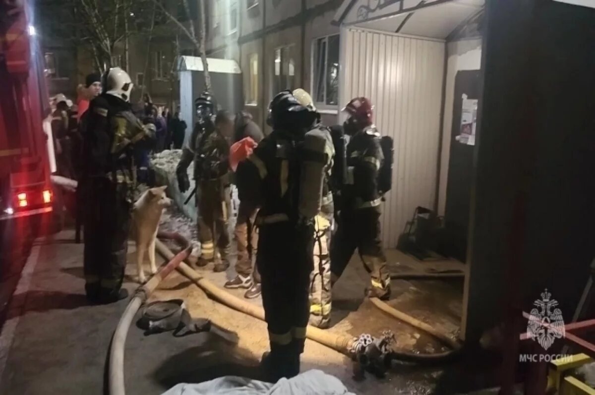    На Камчатке СК проводит проверку по факту гибели пенсионера на пожаре