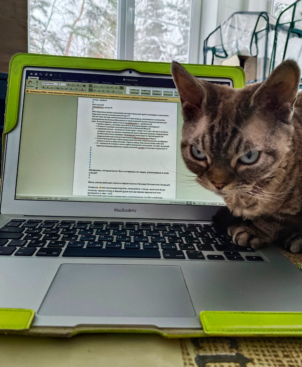 Многое писалось в соавторстве)