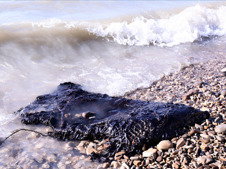 Фото: Global Look Press