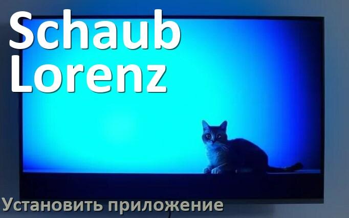 
Как установить приложение на телевизор Schaub Lorenz с флешки и скачать программу через компьютер и телефон