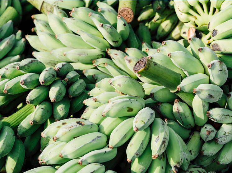 Фото: ru.freepik.com