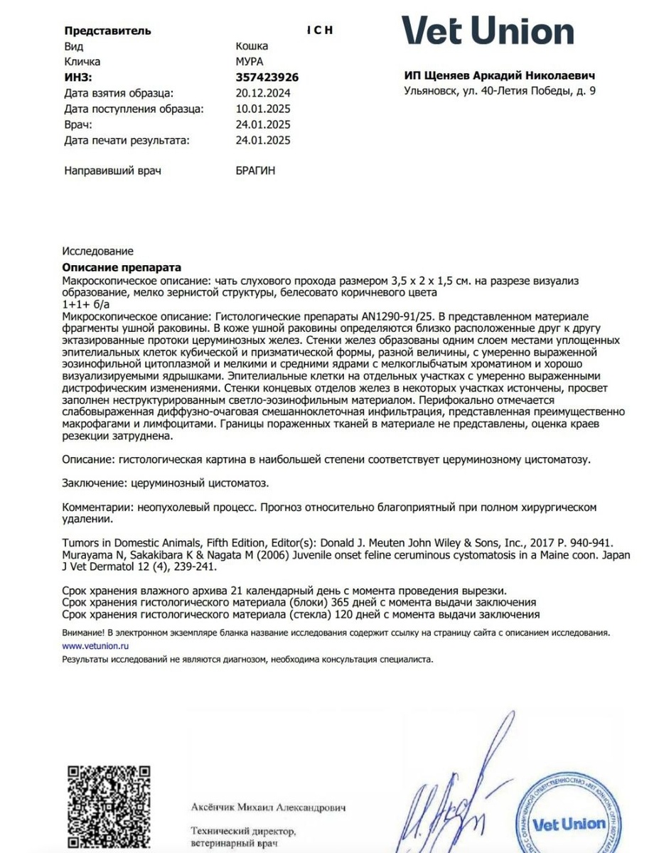 Гистология Мурочки