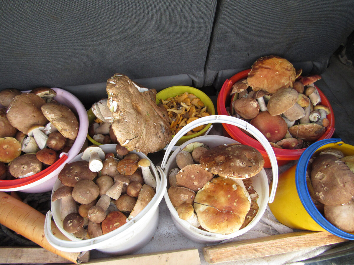 Автор фото Ольга Чалкина