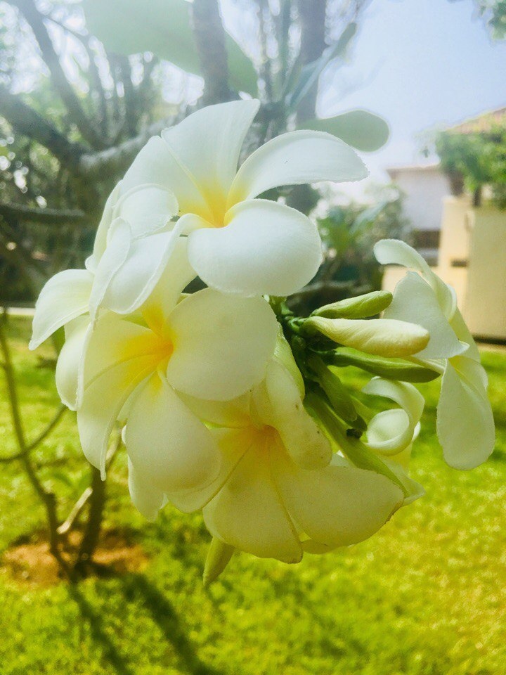 Фото: Екатерина Горшкова