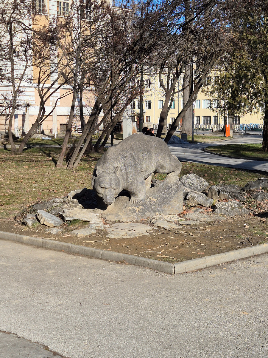 Греется на солнышке медведь в небольшом парке по дороге в оплату налогов.