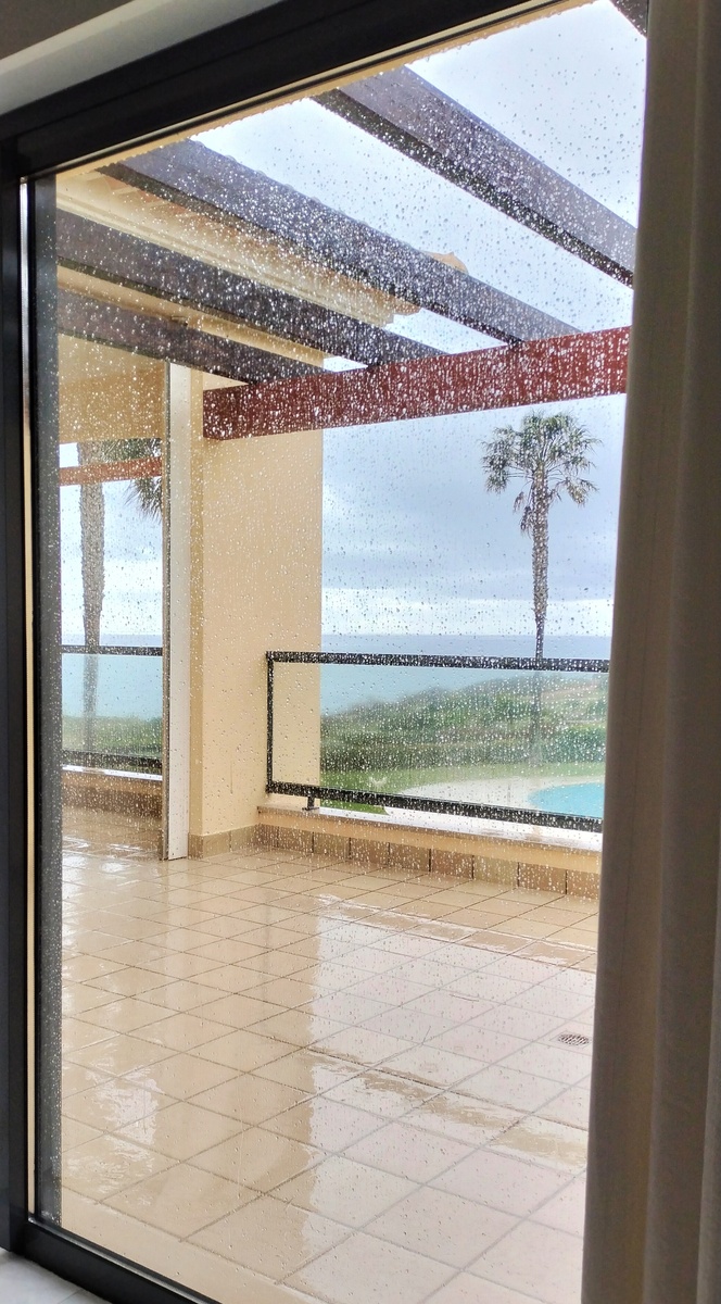 Дождь льёт. Мне нравится, а вот кошкам моим грустно... Их на террасу не пускают