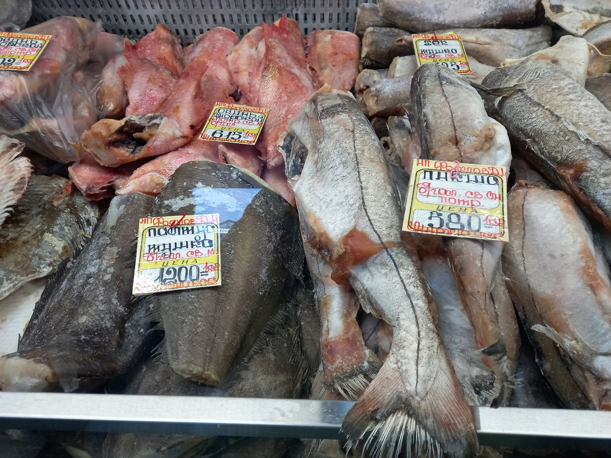 Сегодняшнее фото