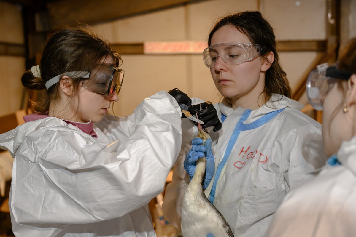 Фото: Оперштаб Кубани 