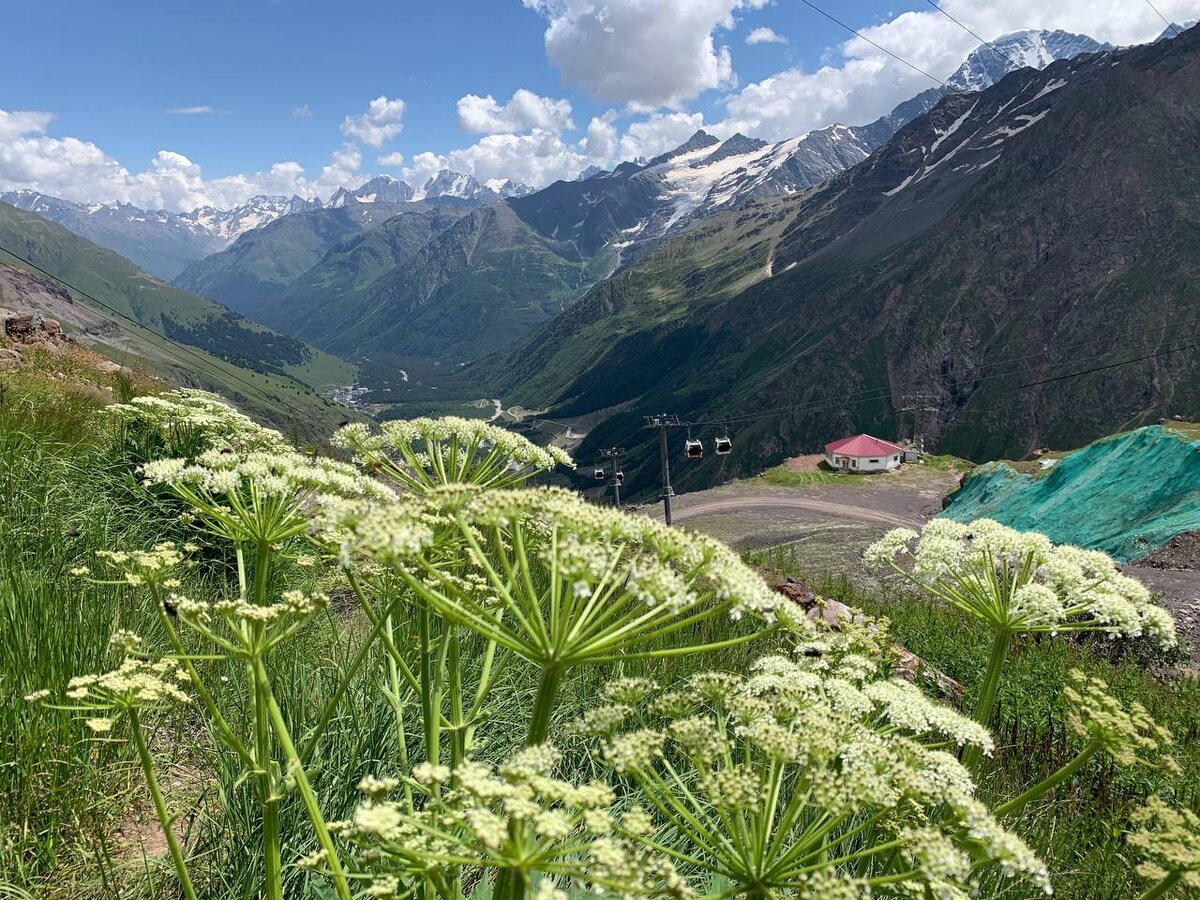 Вид с одной из остановок на канатной дороге. Эльбрус.